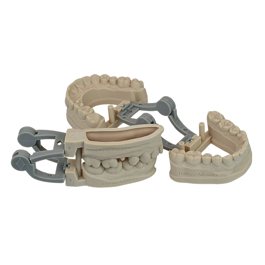 diamond articulators gray snap in printed models