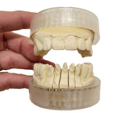 Diamond Articualtor Full Arch (50 sets) Pins sold separately.