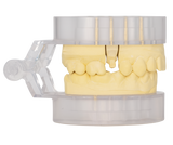 Diamond Articulator stone Model brass pin accurate fast