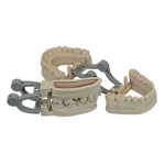 resin 3d printed dental models with snap on articulator